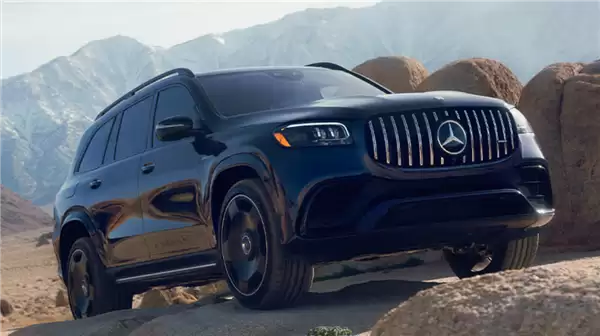 120万买的奔驰GLS刹车失灵 车主:差点冲下悬崖 真不敢开了