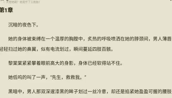 红红小说app阅读参数设置方法