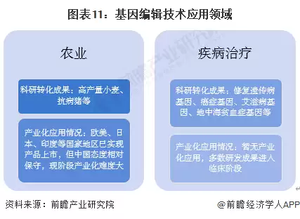 图11:基因编辑技术应用领域