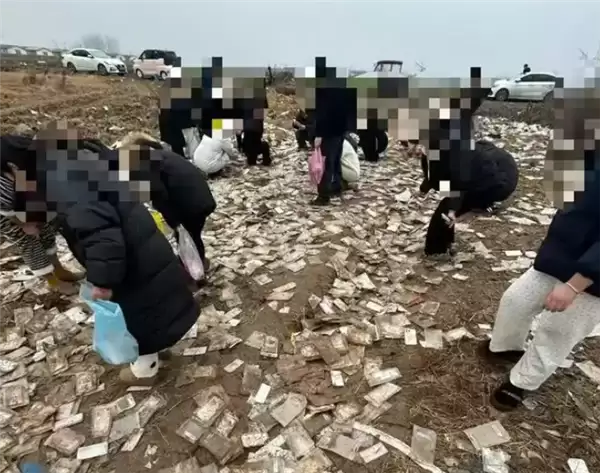 空地处现大量全新手机壳：全新未拆封 有人一次捡50个