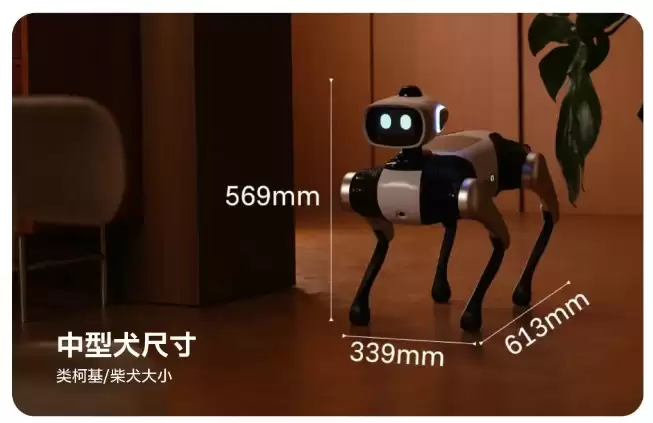 全球首款无需遥控的智能机器狗,维他动力“大头BoBo”将开启公测