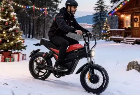 Freeskycycle Cheetah电动车型上市，2200美元打造高性价比轻型电摩