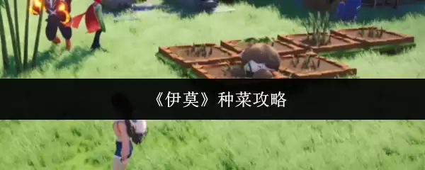 《伊莫》种菜攻略