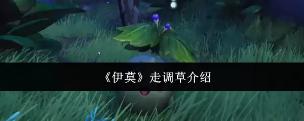 《伊莫》走调草介绍