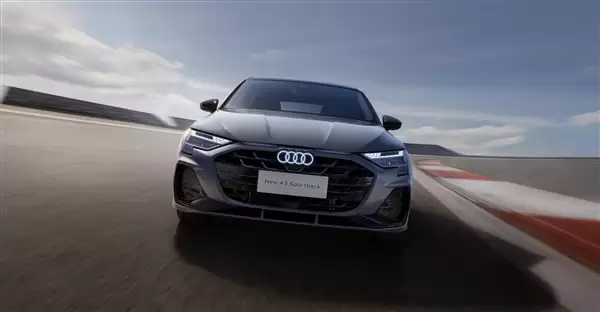 奥迪A3大灯3C标志2C 车主找第三方机构当4S店面鉴定为非原厂