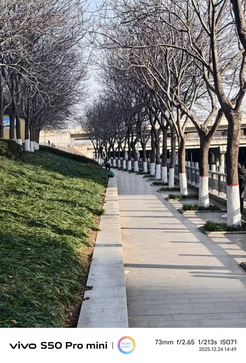 稳步迭代，全面超越：vivo S50 Pro mini 评测：小直屏旗舰的进化标杆