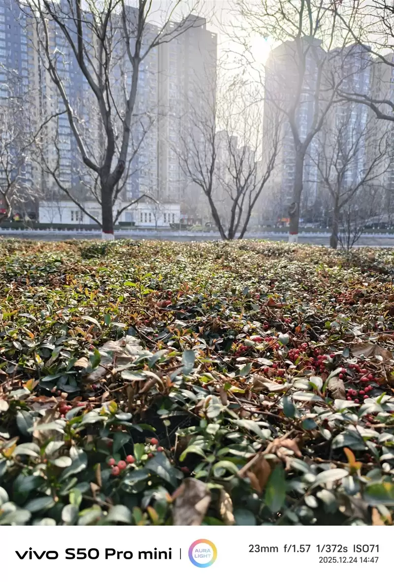 稳步迭代，全面超越：vivo S50 Pro mini 评测：小直屏旗舰的进化标杆