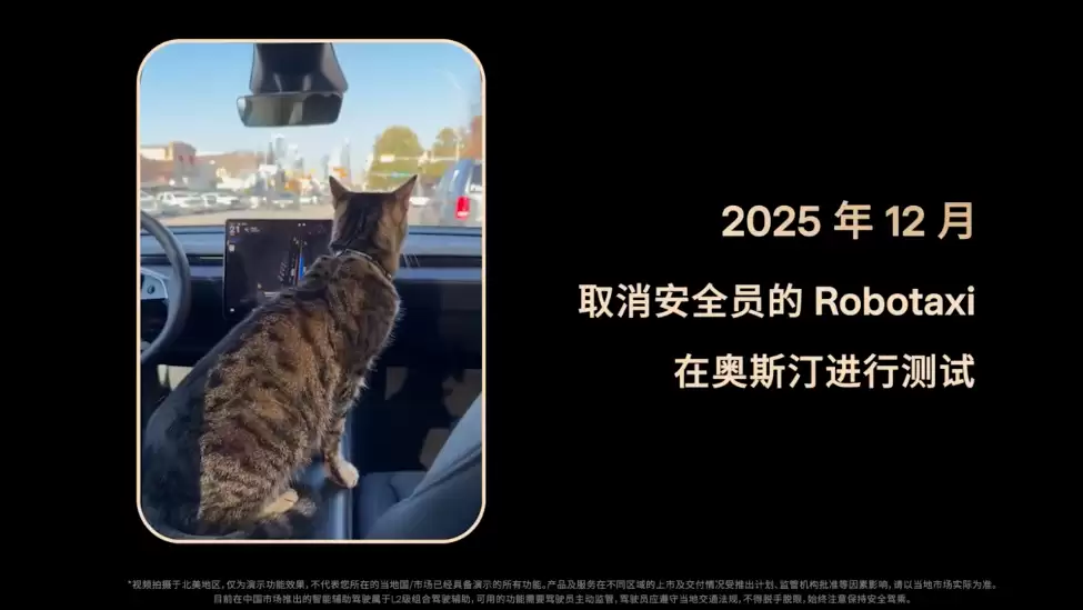 特斯拉发布Robotaxi年度报告:开启取消安全员测试,Cybercab明年量产