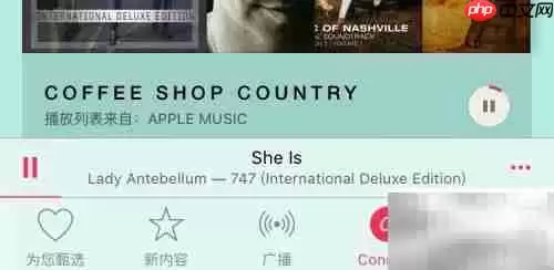 Apple Music隐藏功能使用技巧