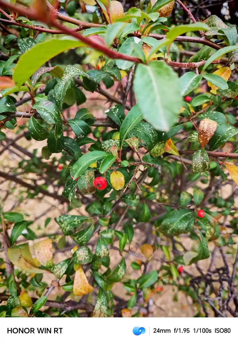 半年内没有对手!荣耀WIN RT评测:2699元首发1万mAh大电池 这才是性价比电竞机!