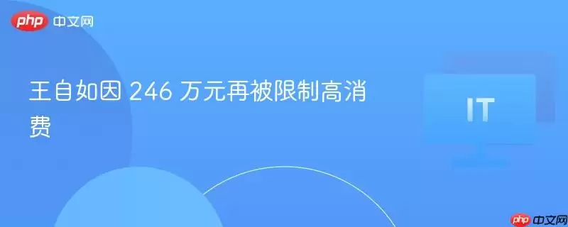 王自如因 246 万元再被限制高消费