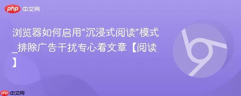 浏览器如何启用“沉浸式阅读”模式_排除广告干扰专心看文章【阅读】