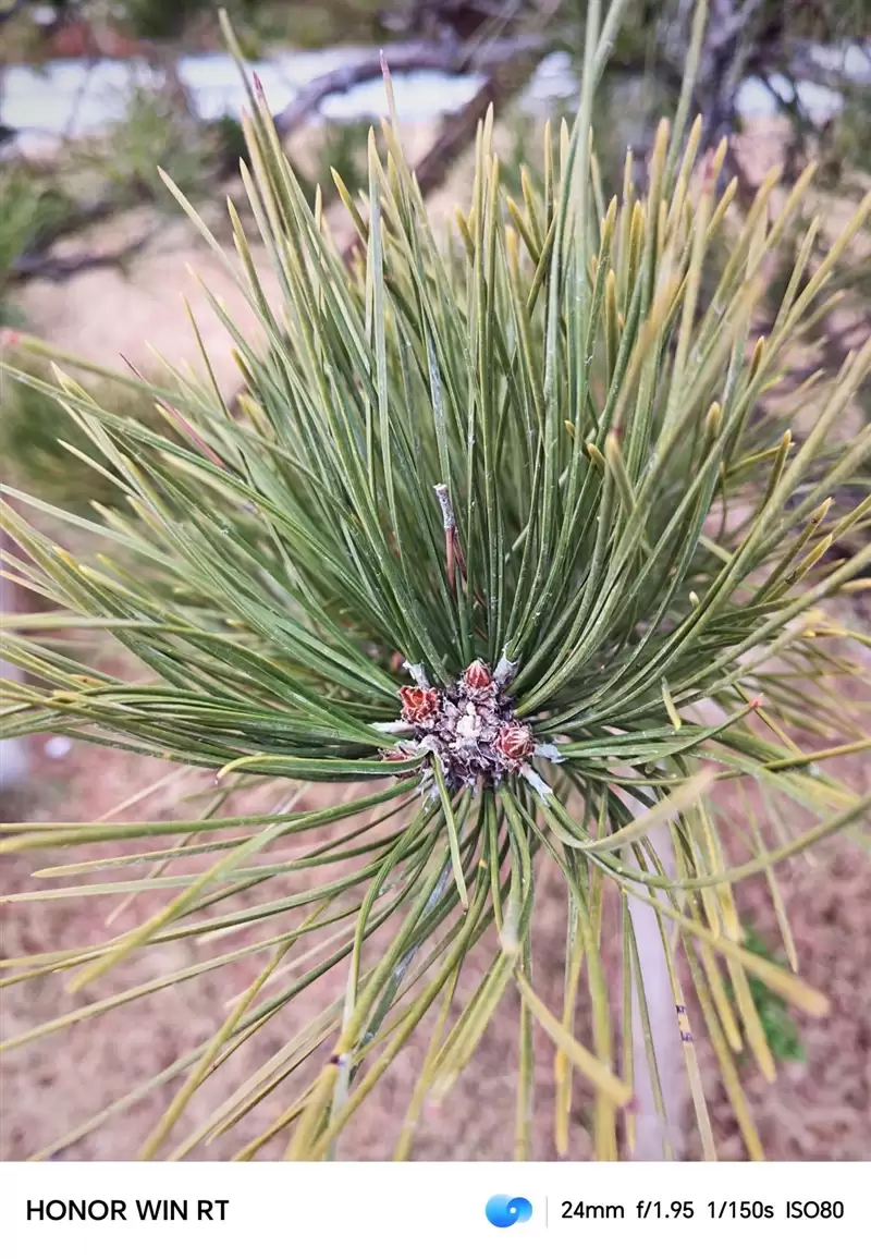 半年内没有对手!荣耀WIN RT评测:2699元首发1万mAh大电池 这才是性价比电竞机!