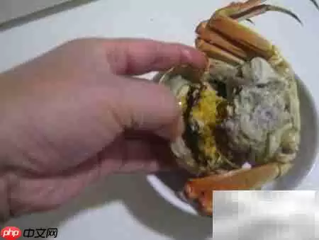 老年人吃河蟹注意事项
