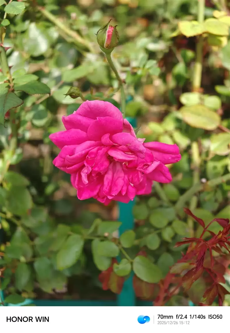 首发10000mAh大电池!荣耀WIN全面评测:原以为续航无敌 没想到性能释放更是不讲道理!