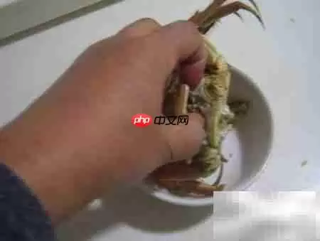 老年人吃河蟹注意事项