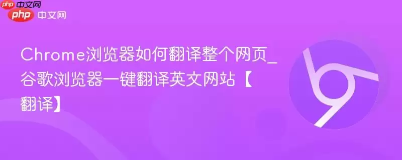 Chrome浏览器如何翻译整个网页_谷歌浏览器一键翻译英文【翻译】