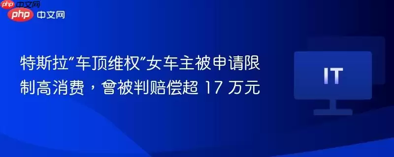 特斯拉“车顶维权”女车主被申请限制高消费，曾被判赔偿超 17 万元