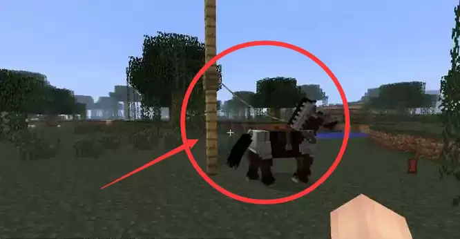 我的世界动物怎么拴住2026