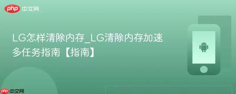 LG怎样清除内存_LG清除内存加速多任务指南【指南】
