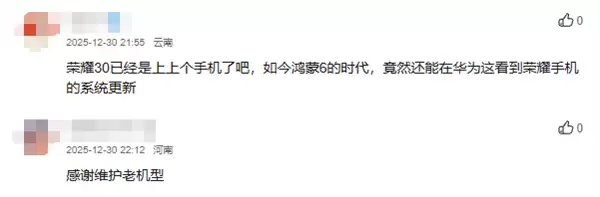 不忘麒麟990老旗舰！荣耀V30/30 Pro等6款机型喜提鸿蒙OS 4.2更新