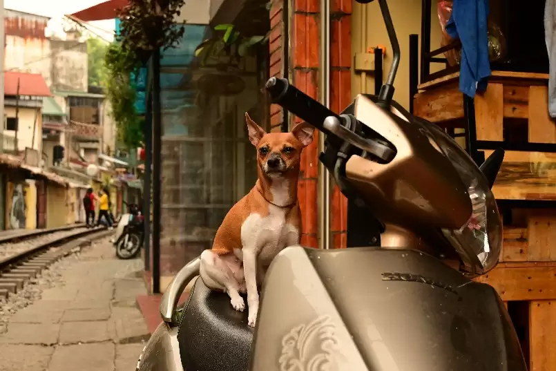 年末影像升级指南：用尼康记录这一年的重要时刻