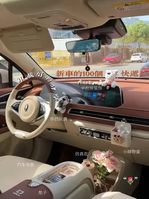 好猫车载香薰怎么选？四大类型优缺点对比及搭配建议