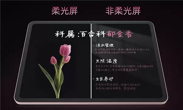 国补价1709.1元起！OPPO Pad Air5首销：支持插SIM卡
