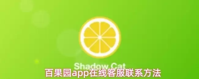 百花园app在线客服联系方法