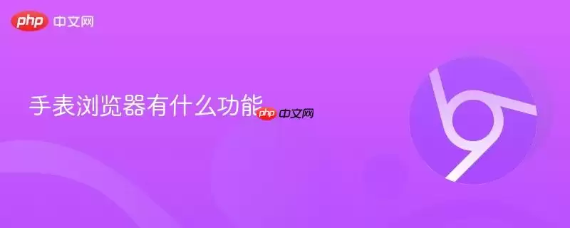 手表浏览器有什么功能