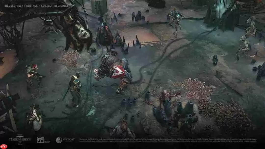 Owlcat官宣推出自家启动器 玩家社区炸锅:不需要!