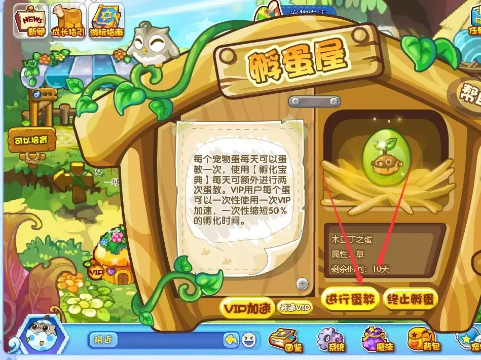 洛克王国如何孵化宠物蛋2026