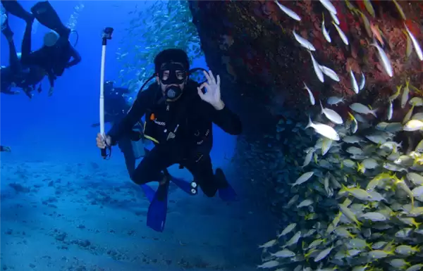 网民投诉反映相关海域存在非法潜水活动 当地通报核查情况