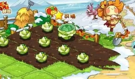 洛克王国木条如何2026