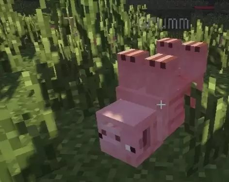 我的世界如何让生物倒立2026