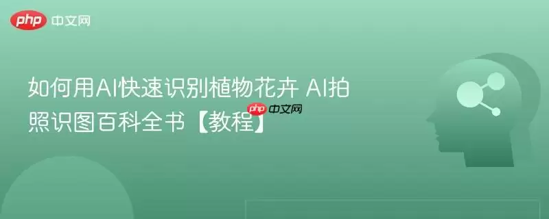 如何用AI快速识别植物花草 AI拍照识图百科全书【教程】