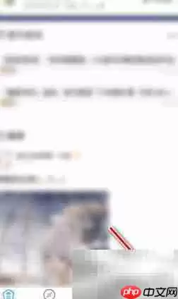 米游社私信设置开启方法