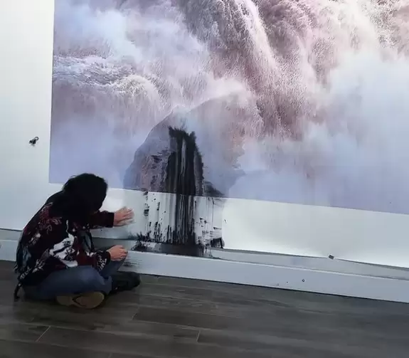 估价380万 著名画家巨幅画作遭泼墨：千万网友献策补救