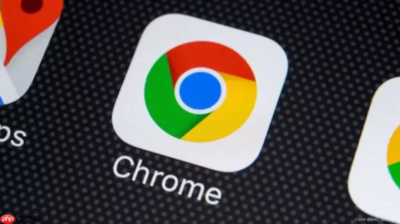 谷歌浏览器网页版入口地址_谷歌Chrome在线网页版访问入口