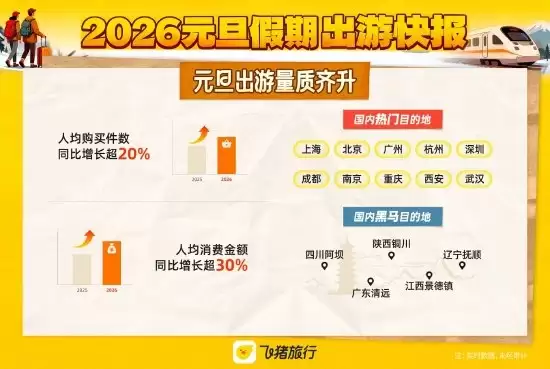 元旦假期“请3休8”拼假火了！飞猪：元旦当天国内酒店预订量暴增280%