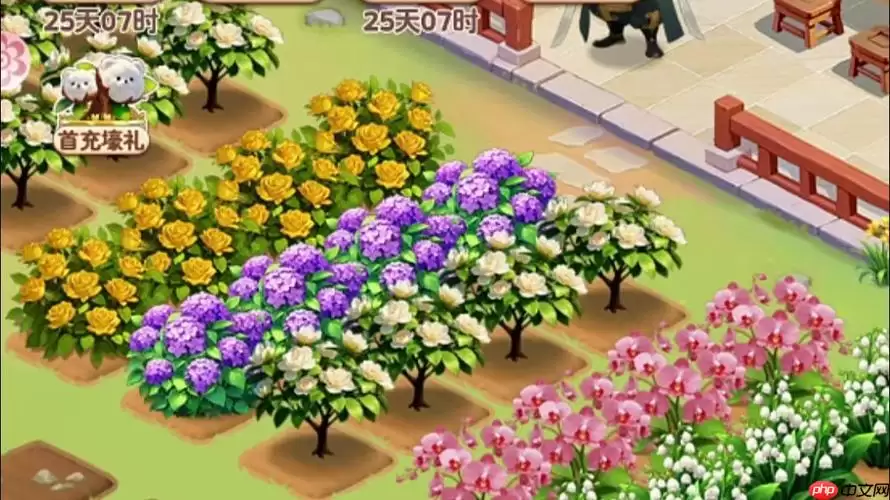 我的花园世界游戏怎样完成每日园艺任务_我的花园世界游戏完成任务奖励【攻略】