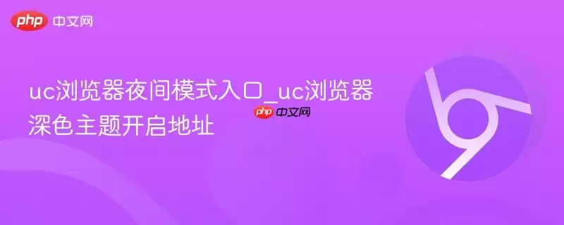 uc浏览器夜间模式入口_uc浏览器深色主题开启地址