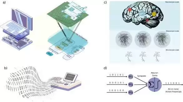意识不只是算法?科学家重新定义大脑如何“计算”,AI仅为数字模拟仍无法复现其本质