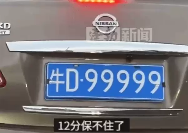 牛D99999车牌引热议,书夹固定涉违法被查