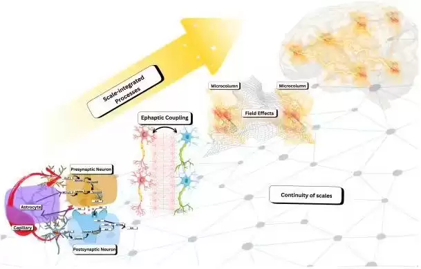 意识不只是算法?科学家重新定义大脑如何“计算”,AI仅为数字模拟仍无法复现其本质