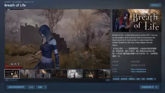 生命之息Steam上线:黑暗ARPG平衡审美与挑战