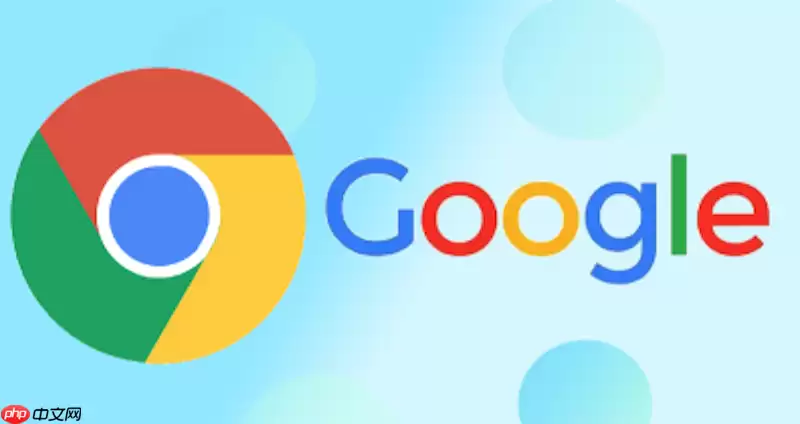 谷歌浏览器移动版入口 谷歌在线浏览器APP快捷通道