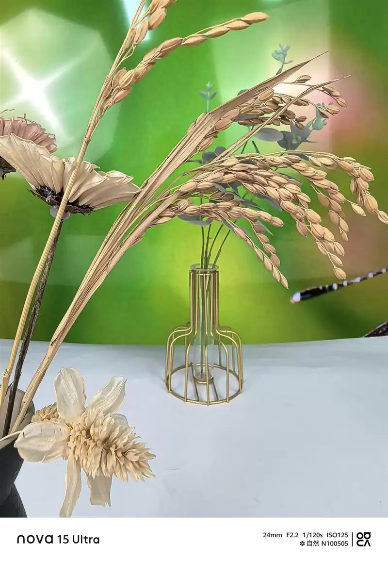 前后双红枫上阵 华为nova 15 Ultra全面评测:年轻人的影像轻旗舰!