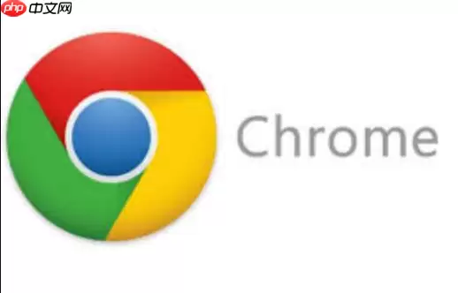 Google浏览器正式在线版入口 Google浏览器网页版最新正式