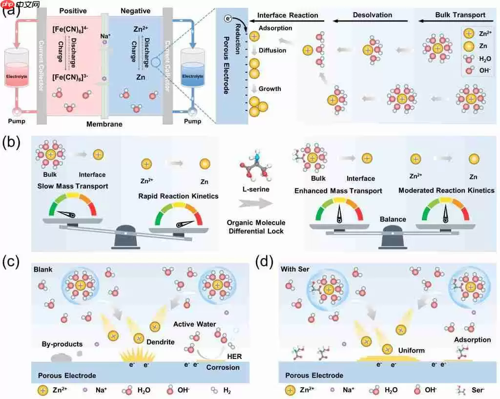 西安交大团队破解锌基电池寿命难题